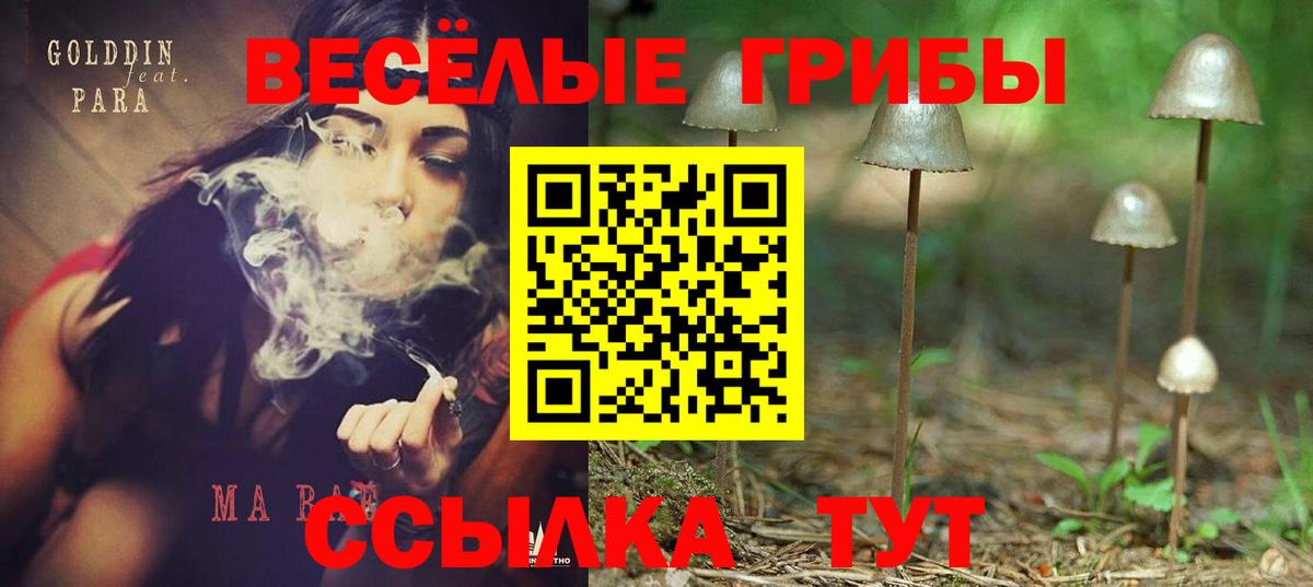 Псилоцибиновые грибы мицелий Фролово